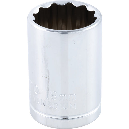 1/2in. Drive, Standard Bi-Hexagon Socket, 19mm, Metric, Polished Finish